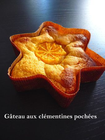 G_teau_cl_mentines__Nigella___5_