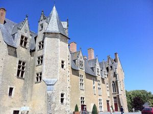 IMG_0341
