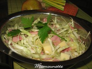 Salade_vend_enne_au_chou_blanc_du_jardin_031