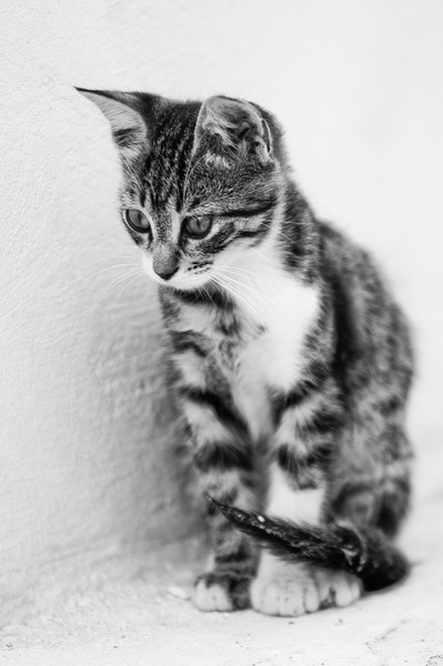 chats-2