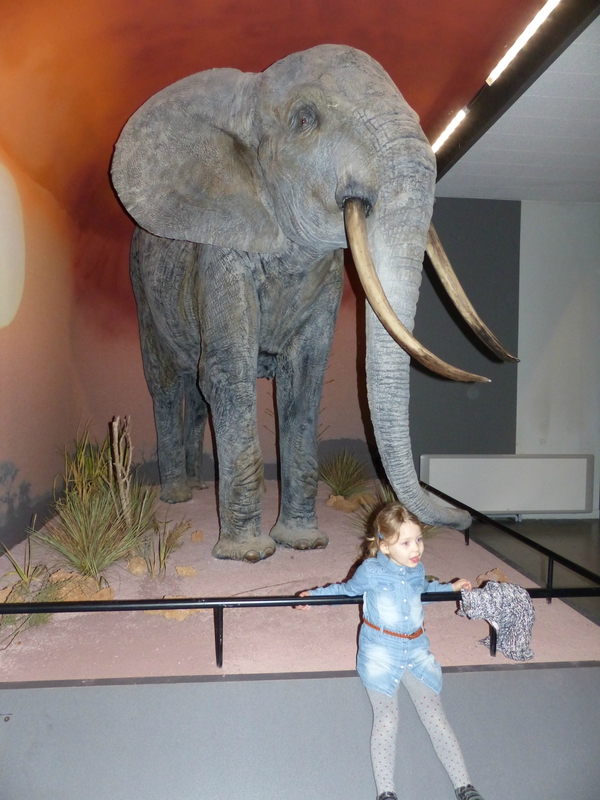 13-Anouk devant l'éléphant