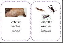 Windows-Live-Writer/Une-squence-Le-Nol-du-hrisson_E182/image_thumb_26
