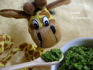 pistou_de_roquette_4