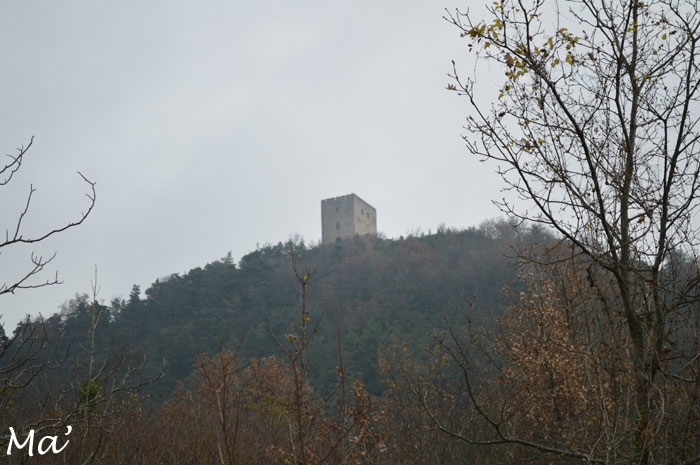 141129_Barcelonne5