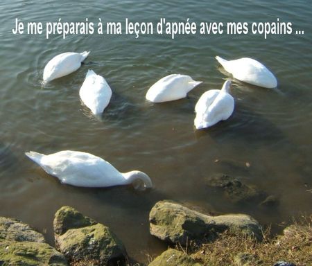 Je me préparais