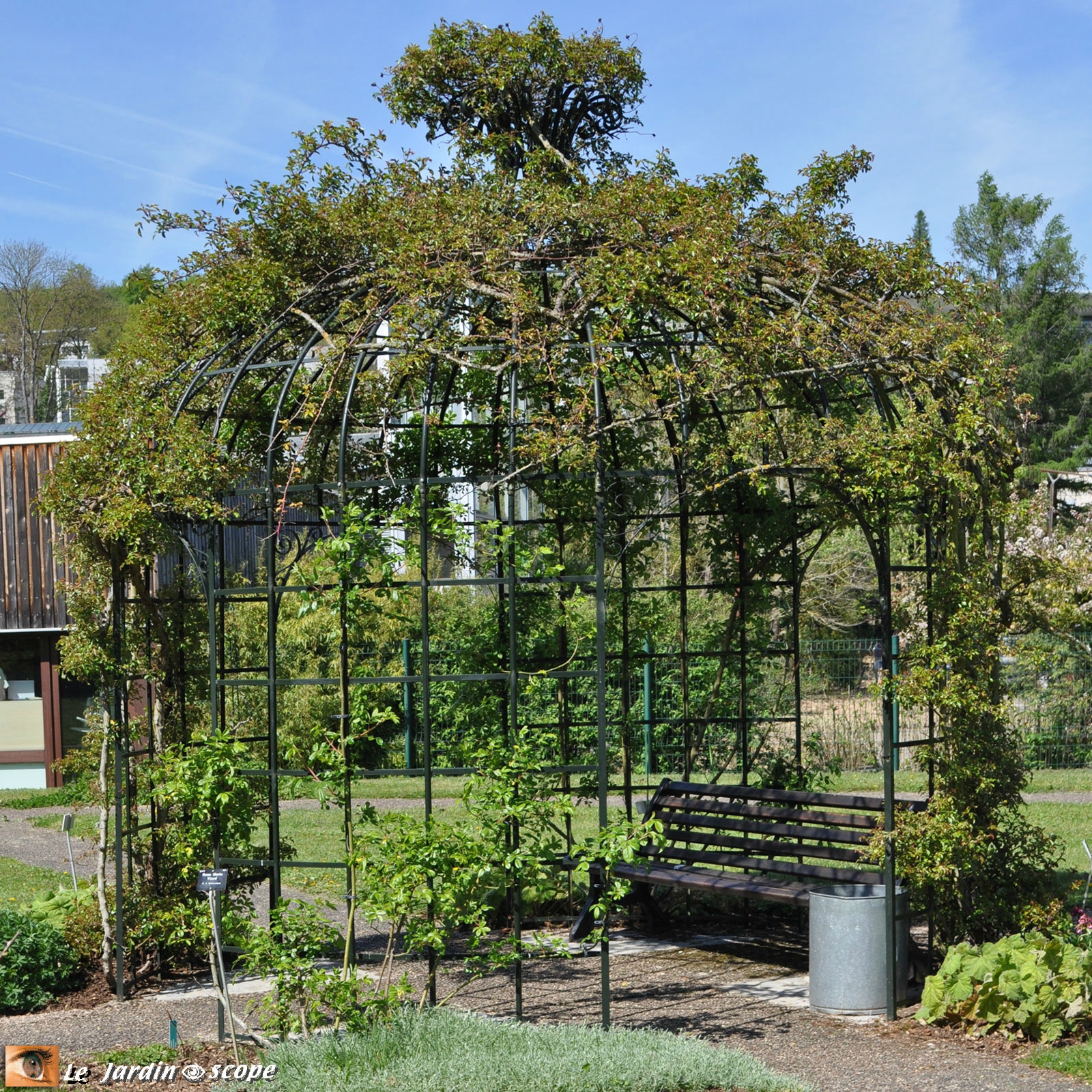 Roseraie du Jardin botanique Jean-Marie Pelt à Nancy