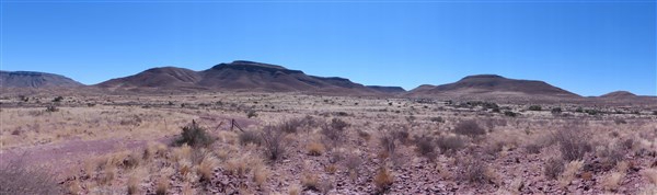 P1060040