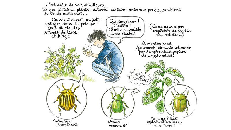 extrait-oasis