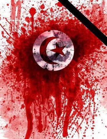 image_du_drapeau_tunisien_circulant_largement_sur_facebook_e1187