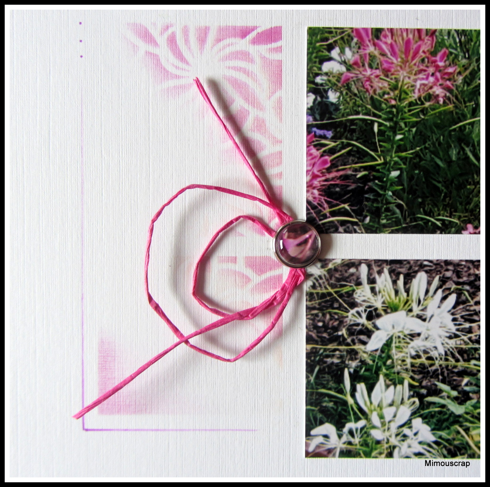 Jardin 2016 135