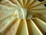 Croissants à la merguez (5)
