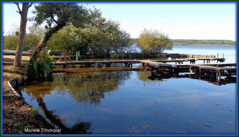 Reflets arbres et pontons dans le Lac