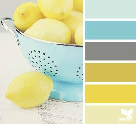 palette blue citrus