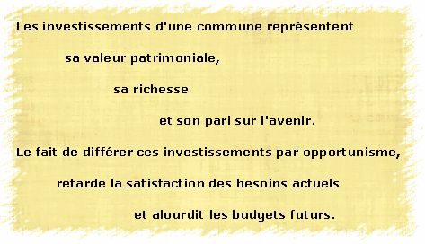 les_investissements_repr_sentent