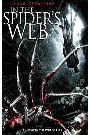 spiders_web