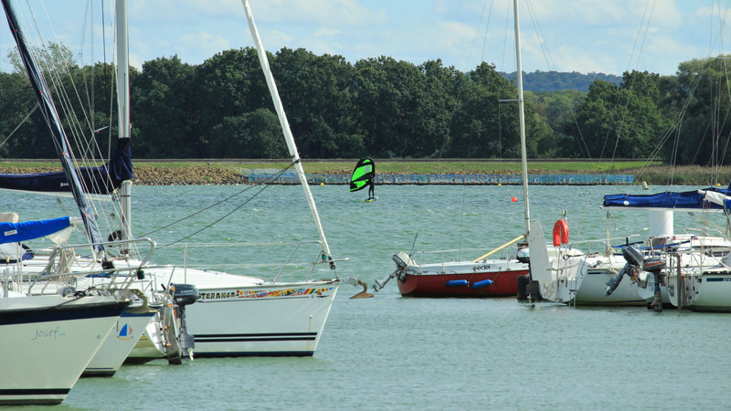 IMG_5666 - Copie