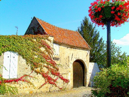 Pres_de_l___Abbaye_geraniums_HUILE