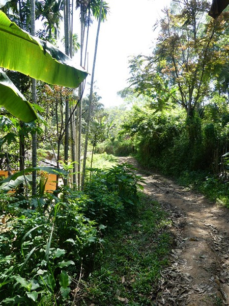 P1270355