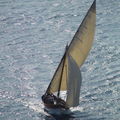 VOILES LATINES