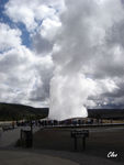 19_Jun_04___Yellowstone__Old_Faithful_geyser