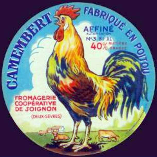 coq camembert2