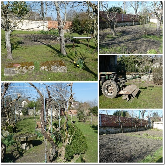 jardin 23 mars 2021