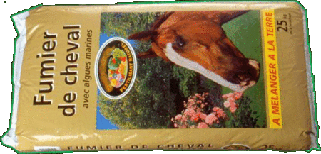 Fumier de cheval