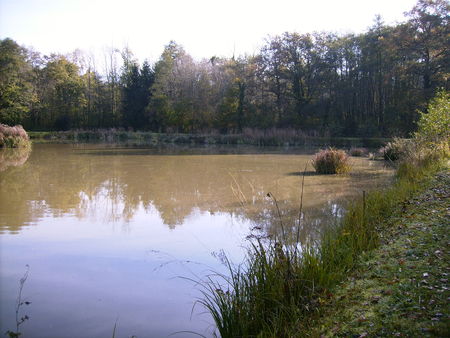 Etang_072