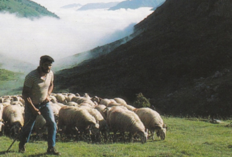 Cœur battant des Pyrénées 7