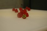 raspberries