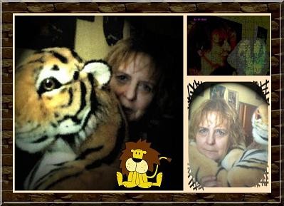 tigre2008