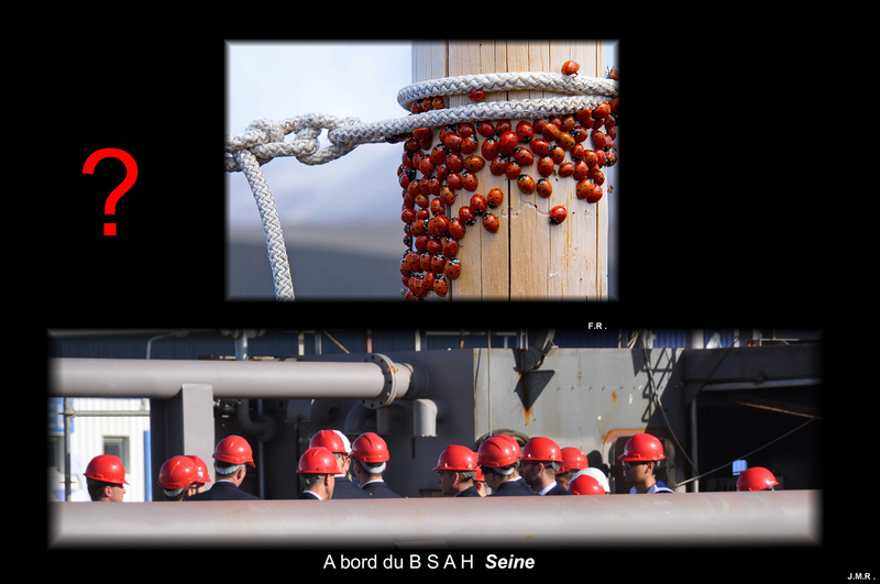 A-bord-du-BSAH-Seine--