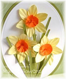 Daffodil_Tutorial_Header