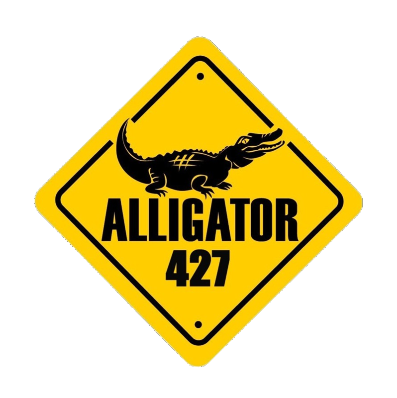 Alligator_427