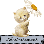 b_amicalement02chat