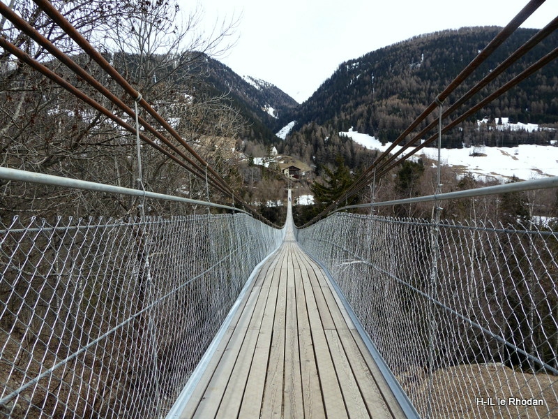 Pont de singe (1)