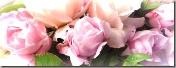20100611_10a