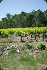 Cotes-du-Rhone-102