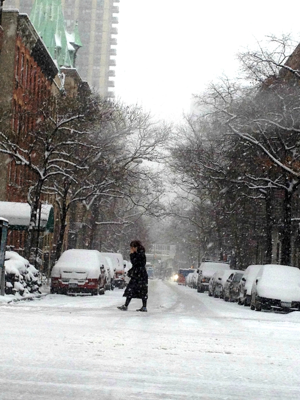 nyc snow day jan 2014 2