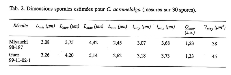 Moreau et al 115b