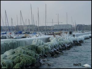 Genève hiver 2012 1