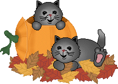 chats automne