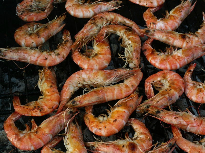 gambas-2