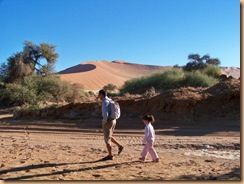 Parc du Namib, Sossusleiv (65)