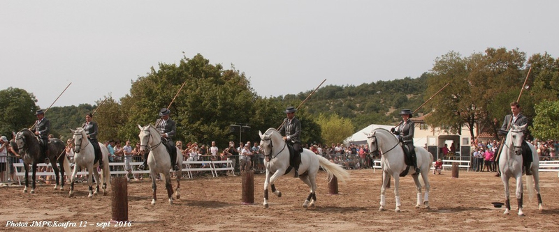 Photos JMP©Koufra 12 - Fers et Lames - 04 septembre 2016 - 0108 - B