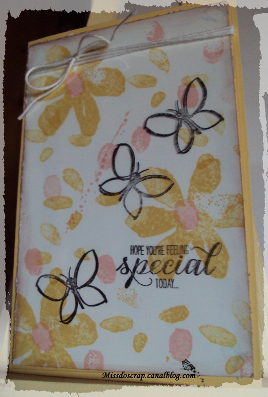 carte anniversaire avec transparent papillon