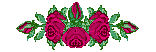 roserose2