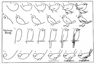 draw-birds-Vintage-Image-Graphics-Fairysm