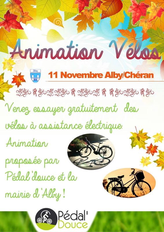 animation vélos 11 2015