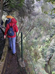 Levada_do_Castelejo
